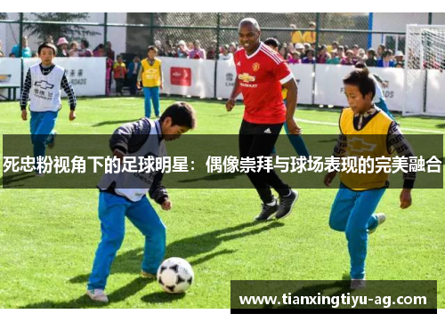 死忠粉视角下的足球明星：偶像崇拜与球场表现的完美融合