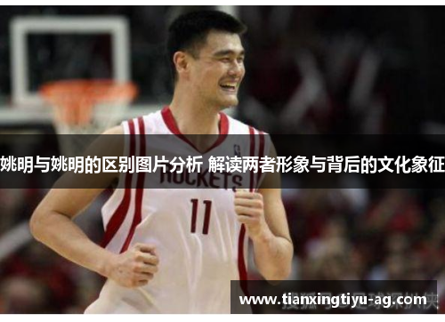 姚明与姚明的区别图片分析 解读两者形象与背后的文化象征