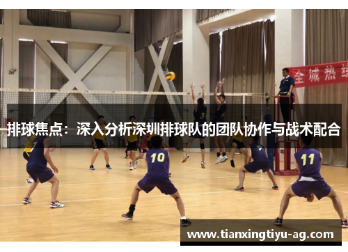 排球焦点：深入分析深圳排球队的团队协作与战术配合