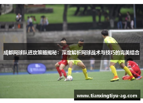 成都网球队进攻策略揭秘：深度解析网球战术与技巧的完美结合